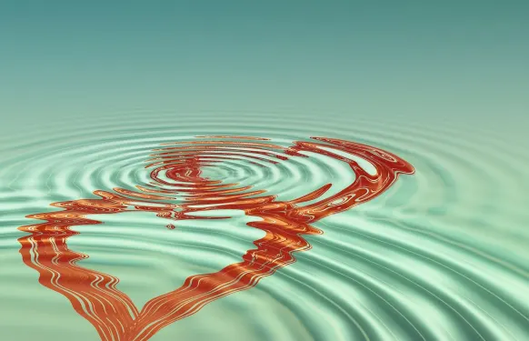 Casino Barbados Bingo Ënnerstëtzung